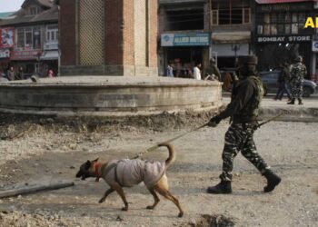 یوم جمہوریہ سے قبل کشمیر میں سخت سیکیورٹی انتظامات